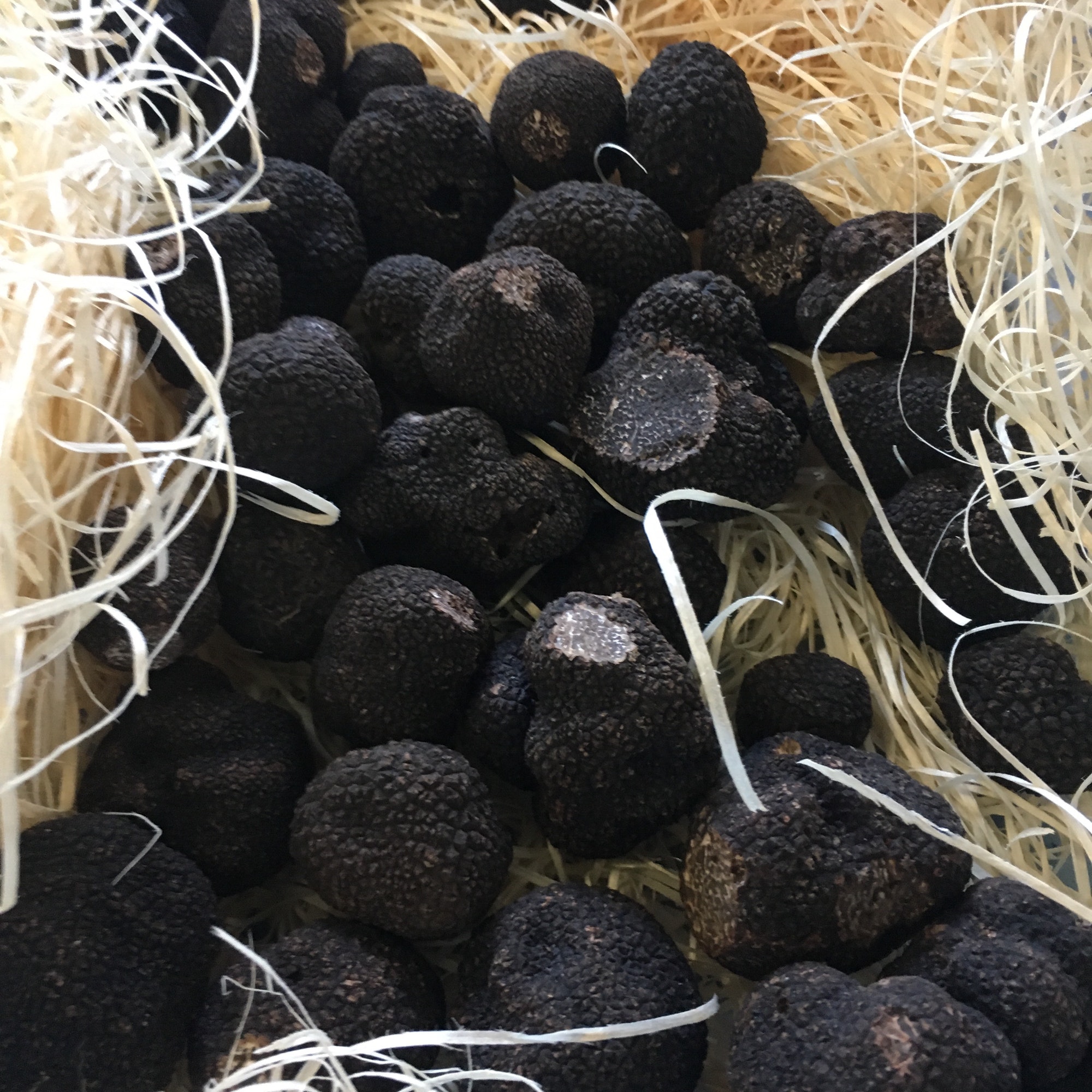 Black truffles