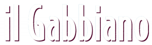 Schrift_Il_gabbiano_logo_600px