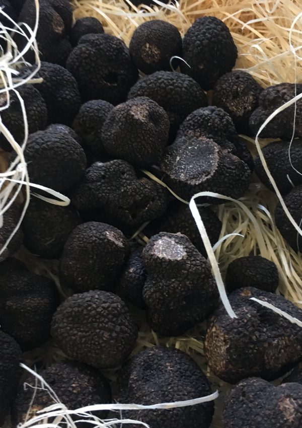 Black truffles